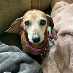 Meet your Posher, Laura